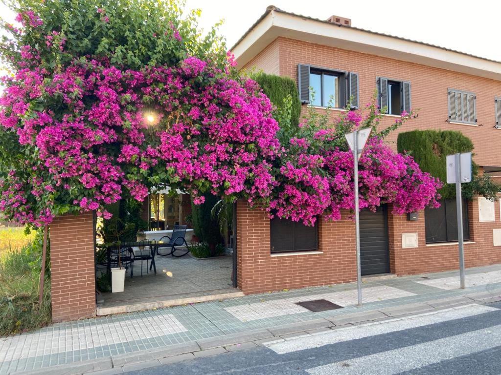 Paz Y Tranquilidad, A Un Paso De Sevilla San Juan de Aznalfarache Exterior foto